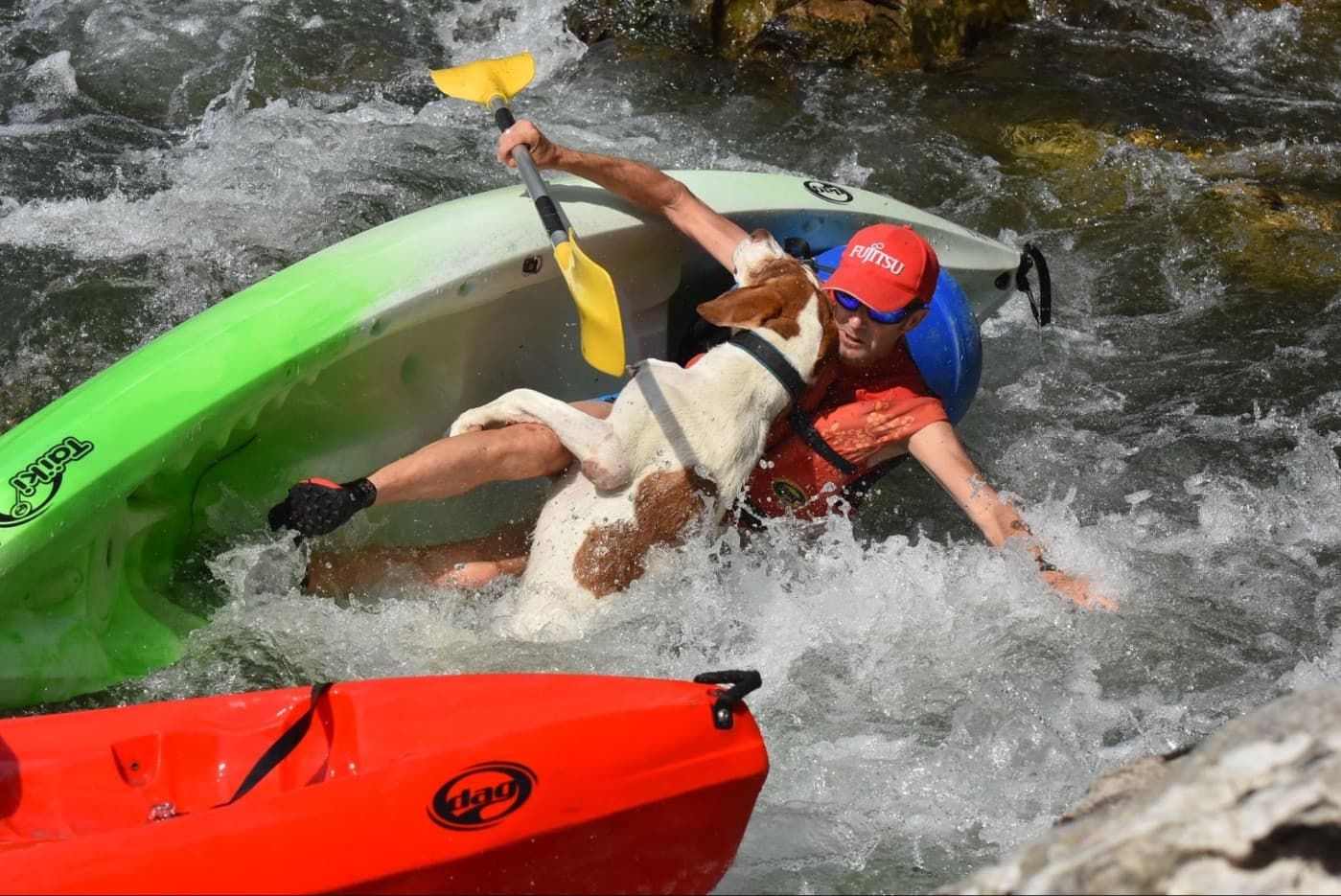Dog experiencing rapids, demonstrating the importance of safety measures during kayaking