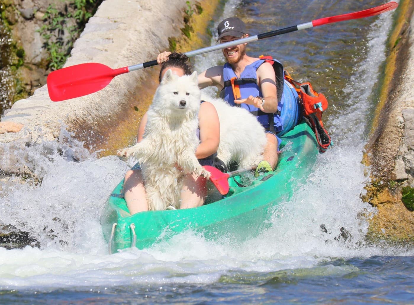 Dog striking a funny pose while navigating rapids in a kayak