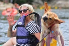 Dog shaking off water after a refreshing swim during kayaking break