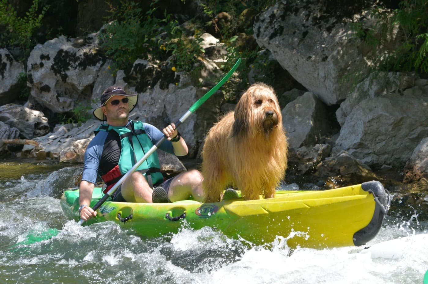 Long-haired dog comfortably sitting on a kayak, showing perfect adaptation to water activities