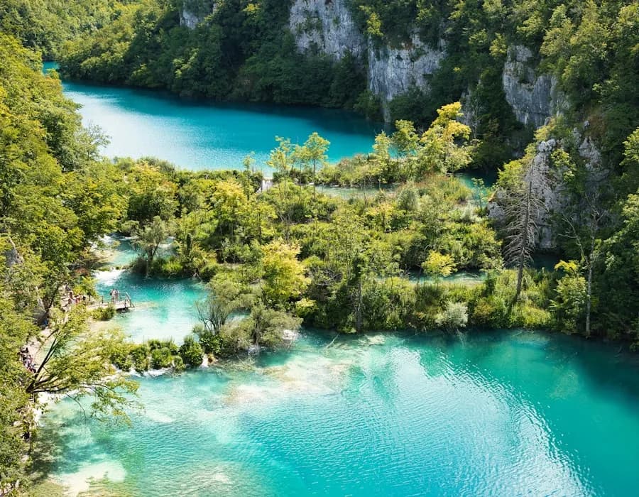 Lush Mediterranean vegetation in the Gorges de l'Ardèche nature reserve